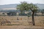 Narok Masai