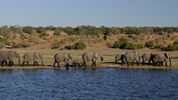 Chobe River, Botswana