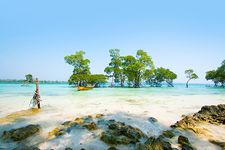 Activity 3 - activity experience