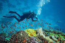 Scuba Diving and Sea Walk In Andaman Island
