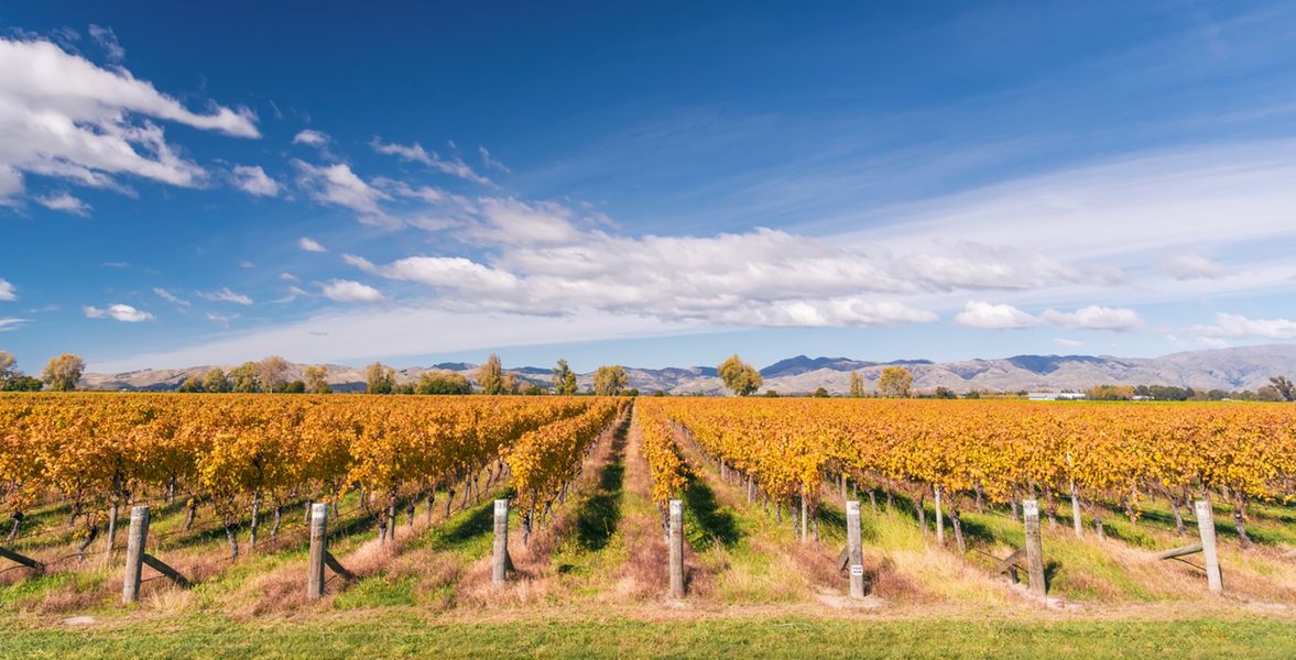 New Zealand - Southern Vistas & Wine Trail