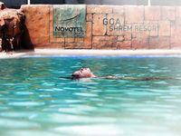 Enjoy in Novote hotel -North goa and Radisson Blu Resort Goa Cavelossim Beach