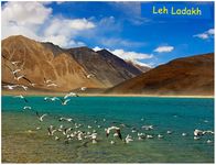 Journey to Srinagar via Ladakh Super Deluxe Package