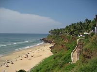 Coastal Delight with Palm Tree