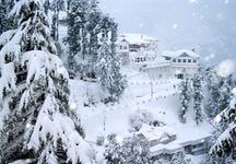 Enchanting Shimla Manali