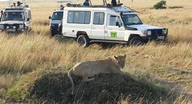 The Ultimate Kenya Safari