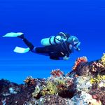 Scuba Diving and Sea Walk Ultimate Adventure Trip