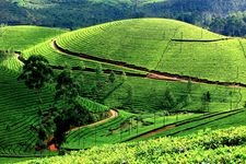 Discover Hills, Wildlife & Backwaters - Luxury