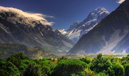 West Coast Wonder - New Zealand