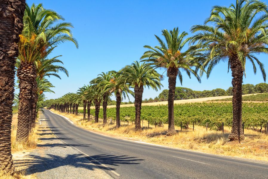 South Australia - Reisling & Ranges