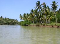 Charming Poovar