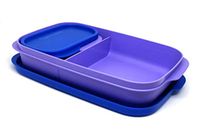 Tupperware My Lunch Box, Purple and Blue Multicolor, Set of 1, (Color May Vary)