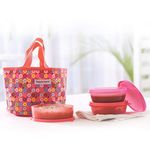 Tupperware Girl's plastic Day Out Lunch Box, 500/300ml (Peach and Pink)