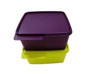 Tupperware Tupin Keep Tab Plastic Container Set (1.2 L, Any Colour) -2 Piece