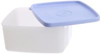 Tupperware Small Cool N Fresh Set, 450ml, Set of 2 - Multicolor