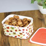 Tupperware Designer Snack Rectangular Container 1.3 L