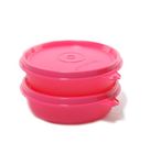 Tupperware Executive Small Bowl 2 Pcs