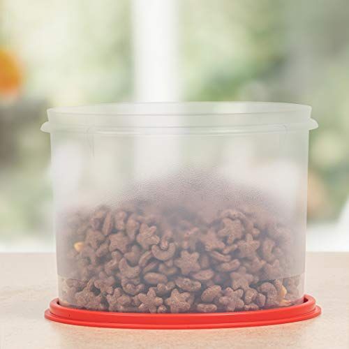 2.5l pet small storage boxes 